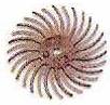 3/4" 3M Radial Disc 220 Grit Red - Default Title