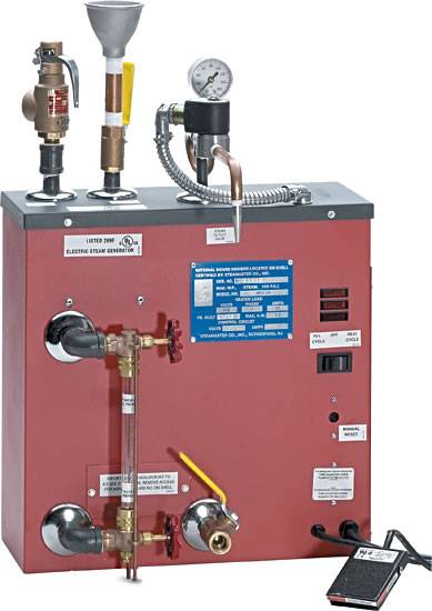 2 Gal Steamaster Steamer - Default Title