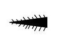 6 1/4" Needle File Knife-Edge (Cut 4) - Default Title