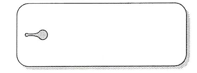 Paper String Tags (100) (27 x 72 mm) - Default Title