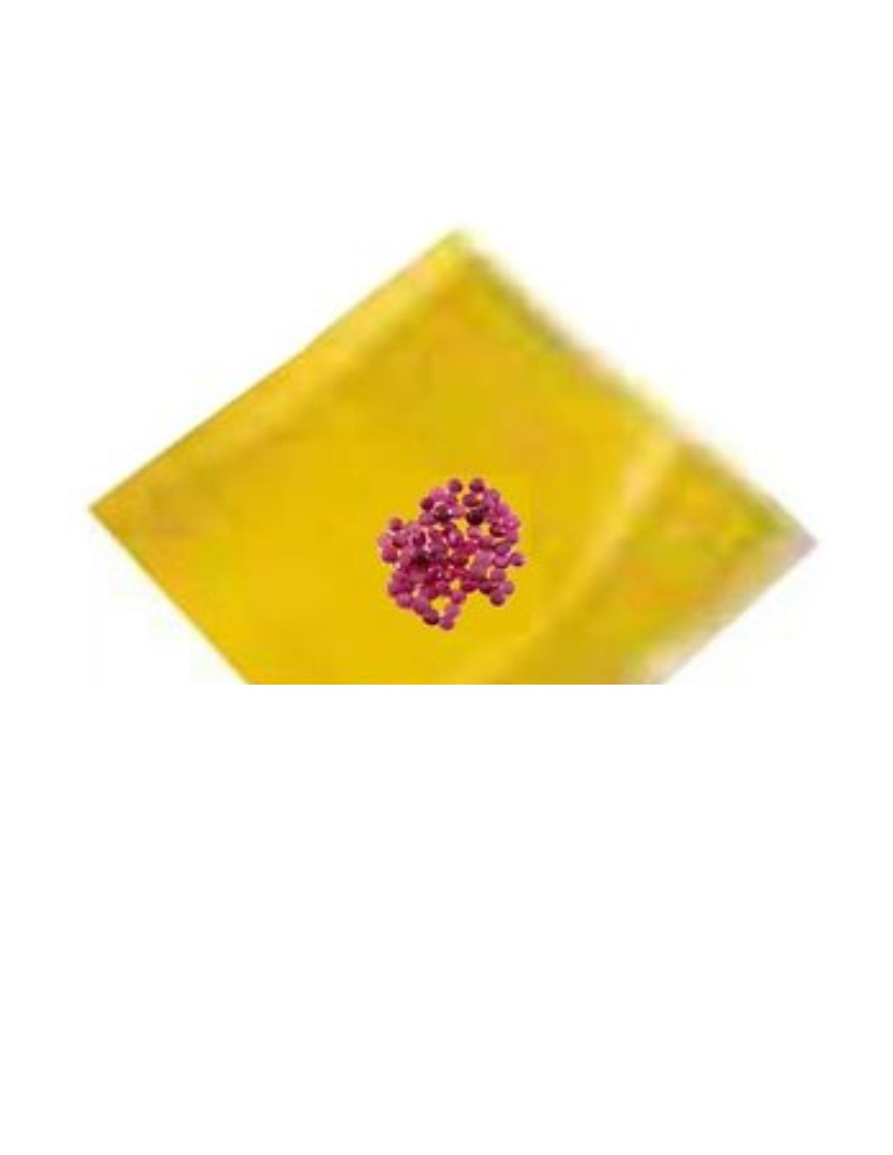 Parcel Papers White/Yellow Ruby - Default Title